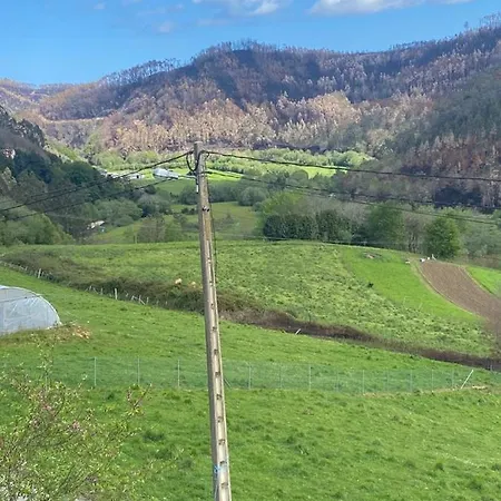 La Panera Del Mejicano